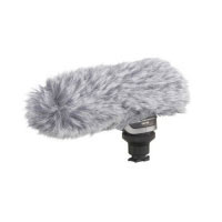 Canon DM-100 Directional Stereo Microphone (2591B002AA)